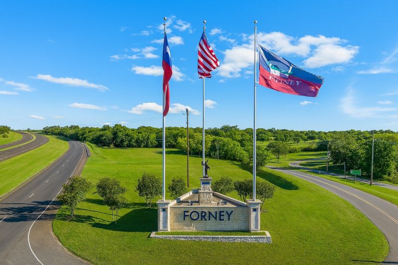 Mice Extermination Service in Forney, TX
