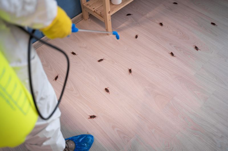 Common Areas Roaches Hide