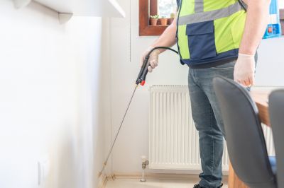 Seasonal Ant Activity And When To Schedule Pest Control Service