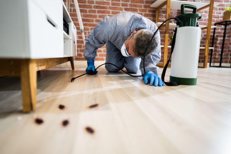 Pest Control detail