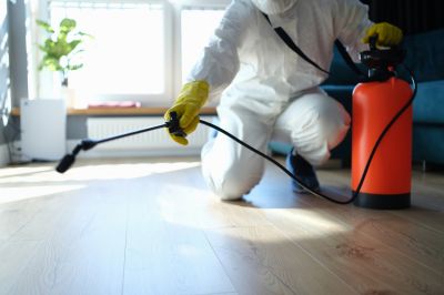 Pest Control detail