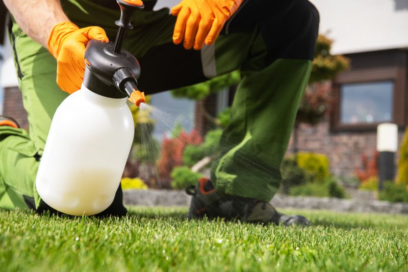 Lawn Insect Spraying